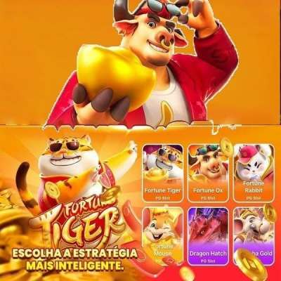 estrelabet bet br